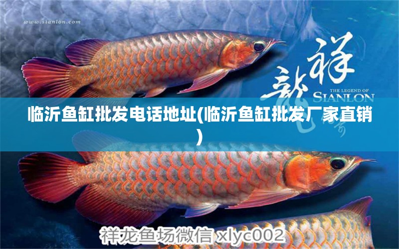 臨沂魚缸批發(fā)電話地址(臨沂魚缸批發(fā)廠家直銷) 圖騰金龍魚