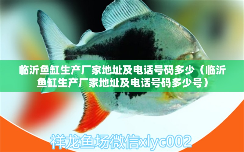 臨沂魚缸生產(chǎn)廠家地址及電話號碼多少（臨沂魚缸生產(chǎn)廠家地址及電話號碼多少號）