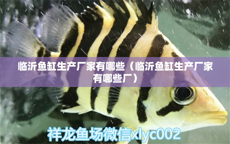 臨沂魚缸生產(chǎn)廠家有哪些（臨沂魚缸生產(chǎn)廠家有哪些廠）