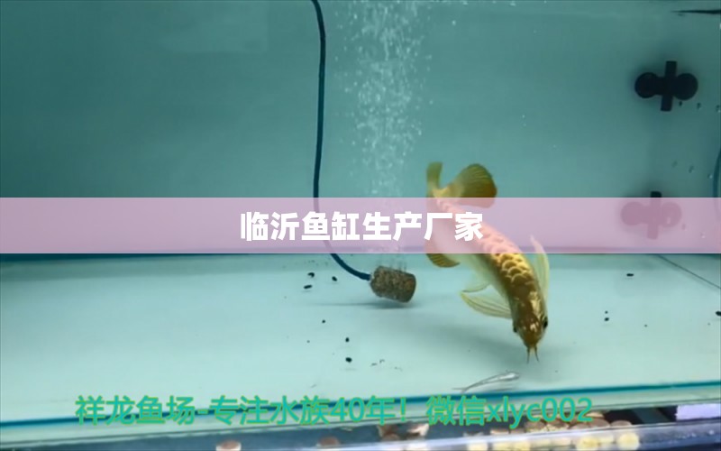 臨沂魚缸生產(chǎn)廠家