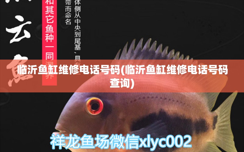 臨沂魚缸維修電話號碼(臨沂魚缸維修電話號碼查詢) 水族世界