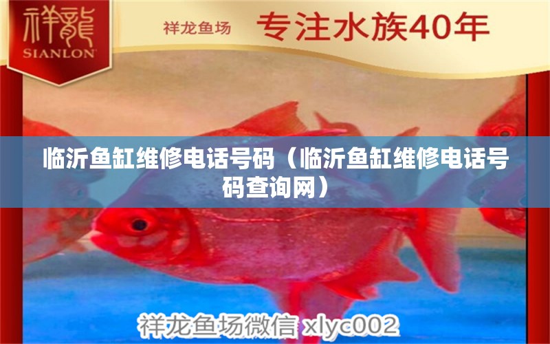 臨沂魚(yú)缸維修電話(huà)號(hào)碼（臨沂魚(yú)缸維修電話(huà)號(hào)碼查詢(xún)網(wǎng)）