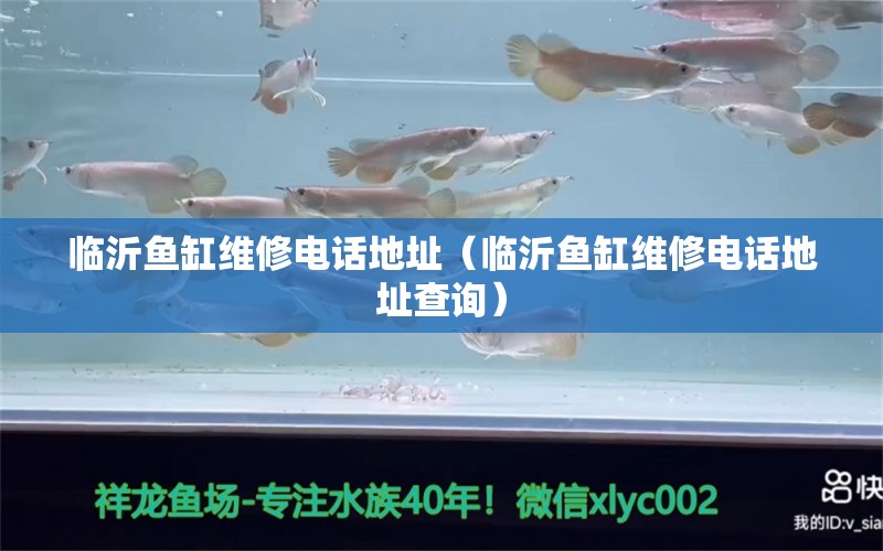 臨沂魚(yú)缸維修電話地址（臨沂魚(yú)缸維修電話地址查詢）