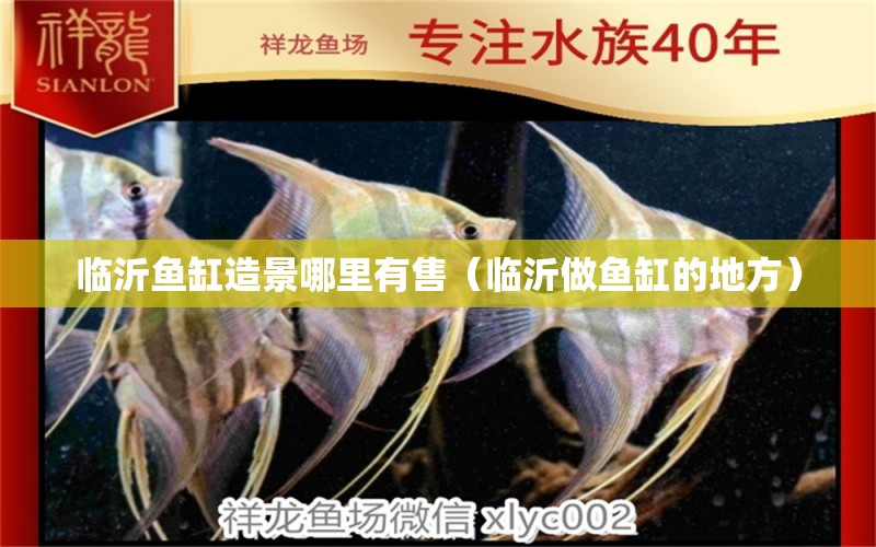 臨沂魚缸造景哪里有售（臨沂做魚缸的地方）