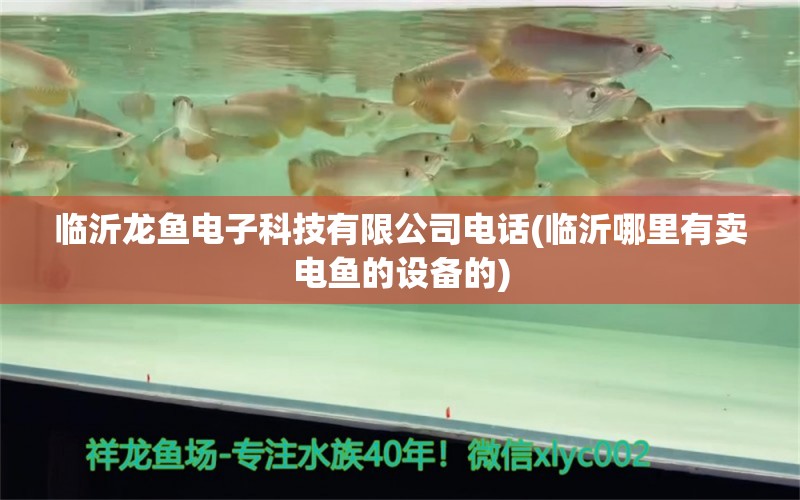 臨沂龍魚電子科技有限公司電話(臨沂哪里有賣電魚的設(shè)備的) PH調(diào)節(jié)劑