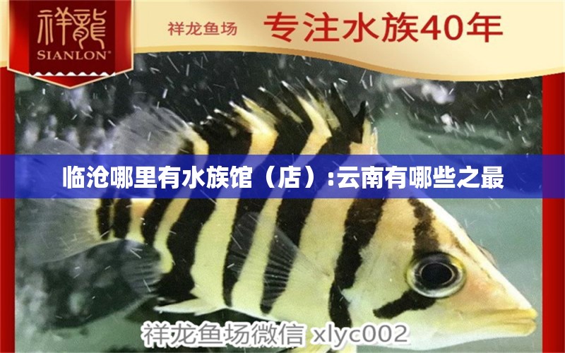 臨滄哪里有水族館（店）:云南有哪些之最 觀賞魚水族批發(fā)市場