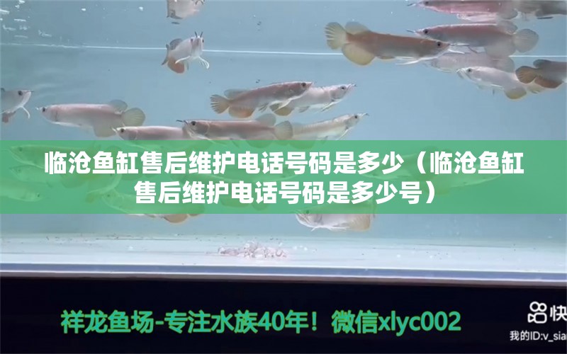 臨滄魚缸售后維護(hù)電話號(hào)碼是多少（臨滄魚缸售后維護(hù)電話號(hào)碼是多少號(hào)）