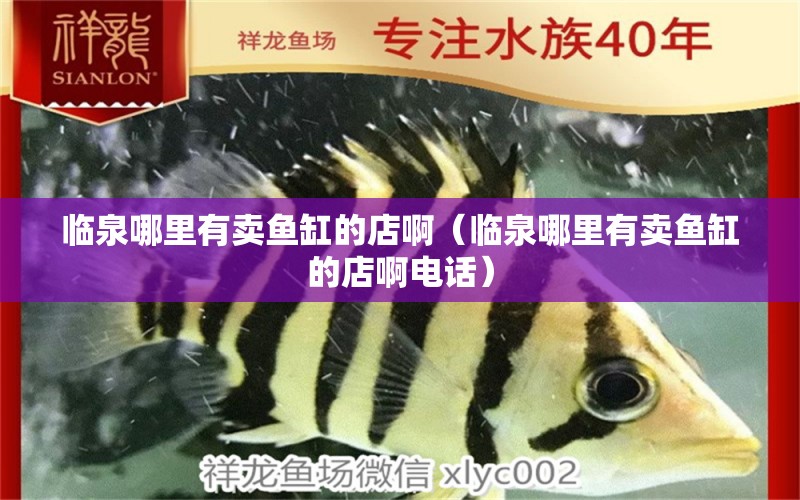 臨泉哪里有賣魚缸的店?。ㄅR泉哪里有賣魚缸的店啊電話） 羽毛刀魚苗