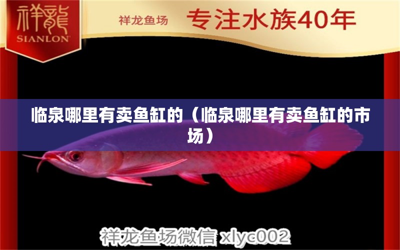 臨泉哪里有賣(mài)魚(yú)缸的（臨泉哪里有賣(mài)魚(yú)缸的市場(chǎng)）