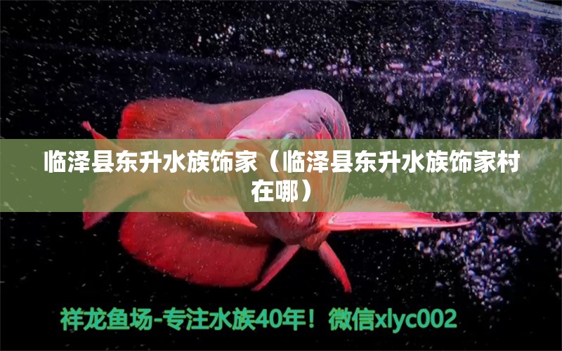 臨澤縣東升水族飾家（臨澤縣東升水族飾家村在哪）