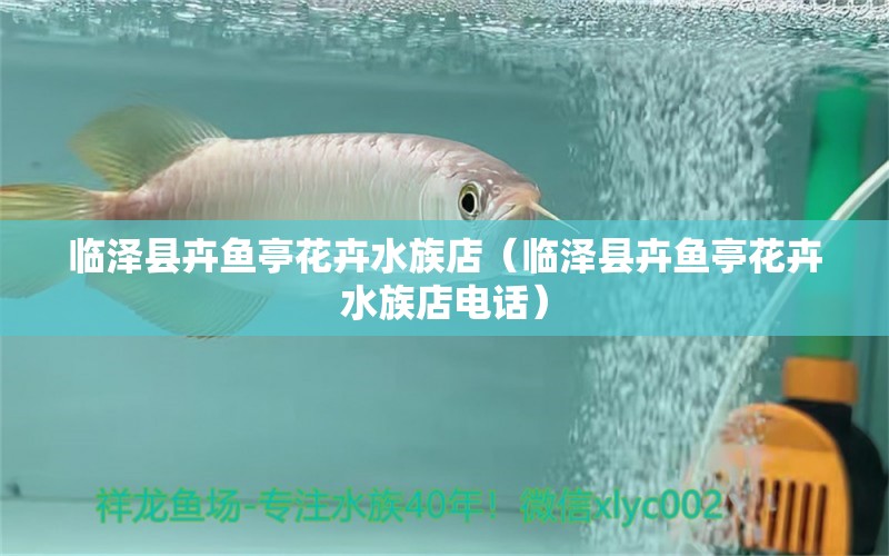 臨澤縣卉魚(yú)亭花卉水族店（臨澤縣卉魚(yú)亭花卉水族店電話） 全國(guó)水族館企業(yè)名錄