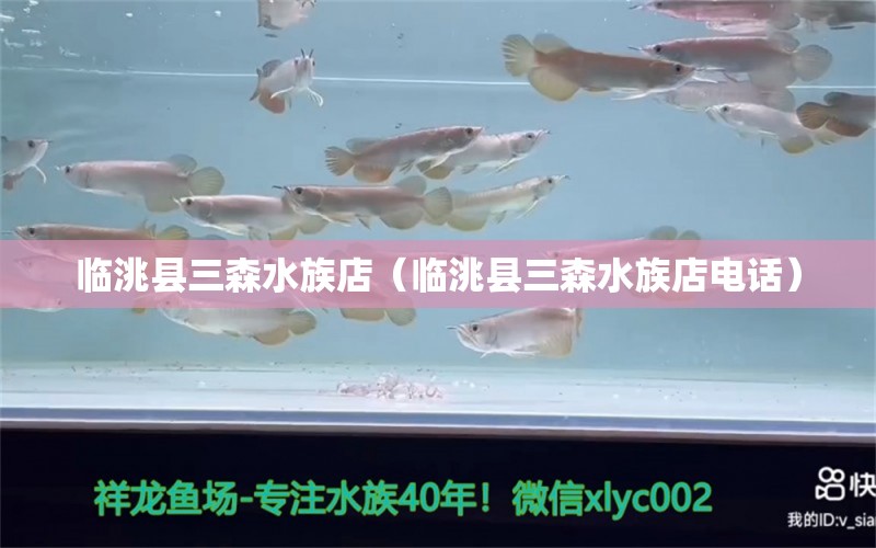 臨洮縣三森水族店（臨洮縣三森水族店電話） 全國(guó)水族館企業(yè)名錄