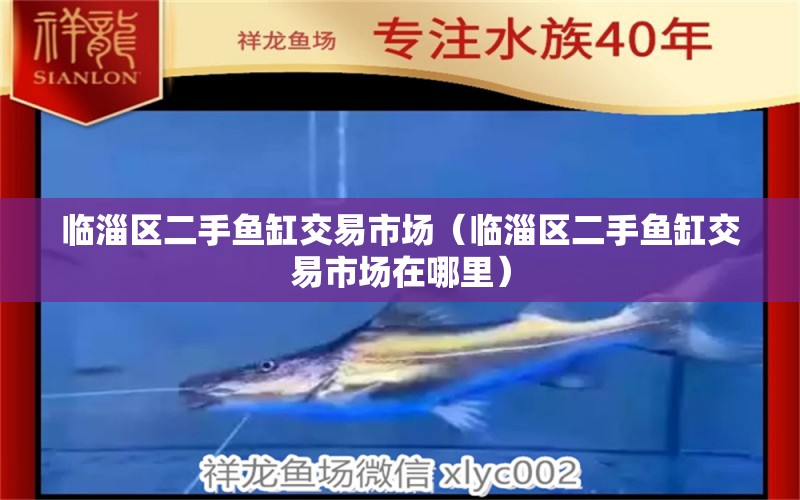 臨淄區(qū)二手魚缸交易市場(chǎng)（臨淄區(qū)二手魚缸交易市場(chǎng)在哪里） 其他品牌魚缸