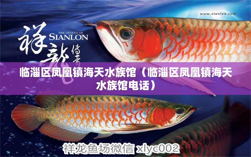 臨淄區(qū)鳳凰鎮(zhèn)海天水族館（臨淄區(qū)鳳凰鎮(zhèn)海天水族館電話）