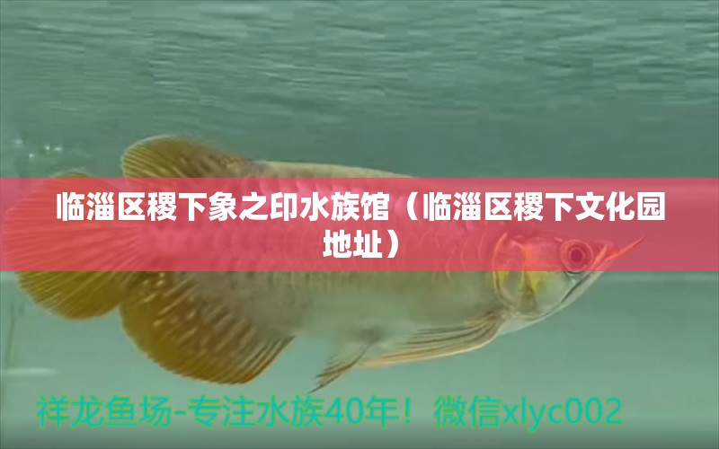 臨淄區(qū)稷下象之印水族館（臨淄區(qū)稷下文化園地址）