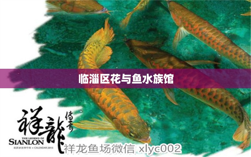 臨淄區(qū)花與魚水族館