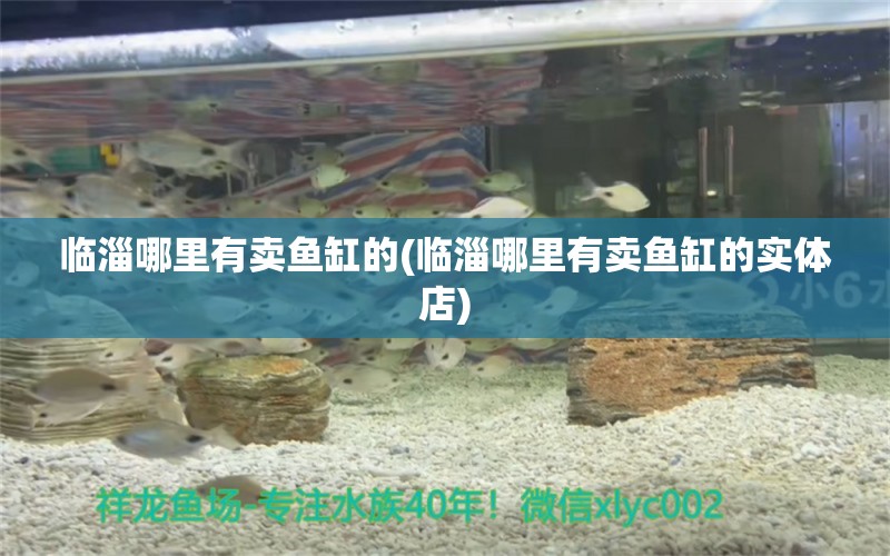 臨淄哪里有賣魚缸的(臨淄哪里有賣魚缸的實體店) 可麗愛魚缸