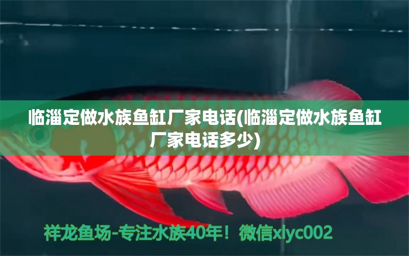 臨淄定做水族魚缸廠家電話(臨淄定做水族魚缸廠家電話多少)