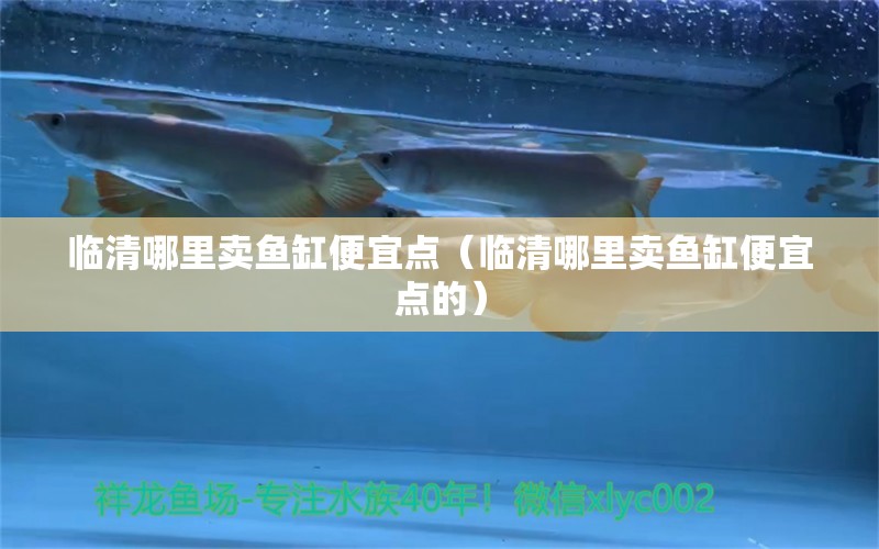 臨清哪里賣(mài)魚(yú)缸便宜點(diǎn)（臨清哪里賣(mài)魚(yú)缸便宜點(diǎn)的）