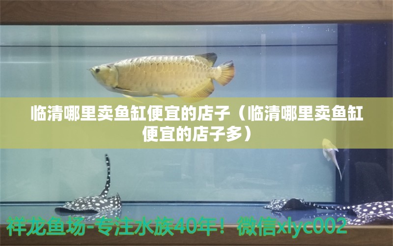 臨清哪里賣(mài)魚(yú)缸便宜的店子（臨清哪里賣(mài)魚(yú)缸便宜的店子多）