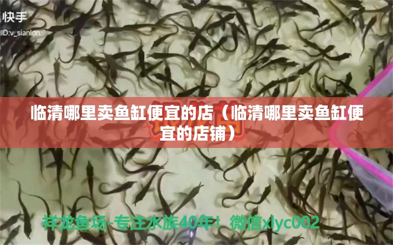 臨清哪里賣魚缸便宜的店（臨清哪里賣魚缸便宜的店鋪）