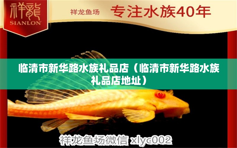 臨清市新華路水族禮品店（臨清市新華路水族禮品店地址）