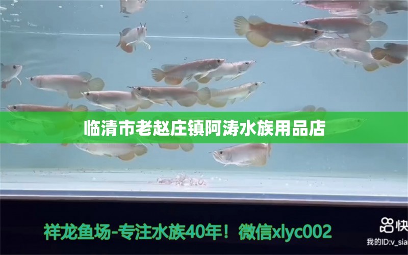 臨清市老趙莊鎮(zhèn)阿濤水族用品店