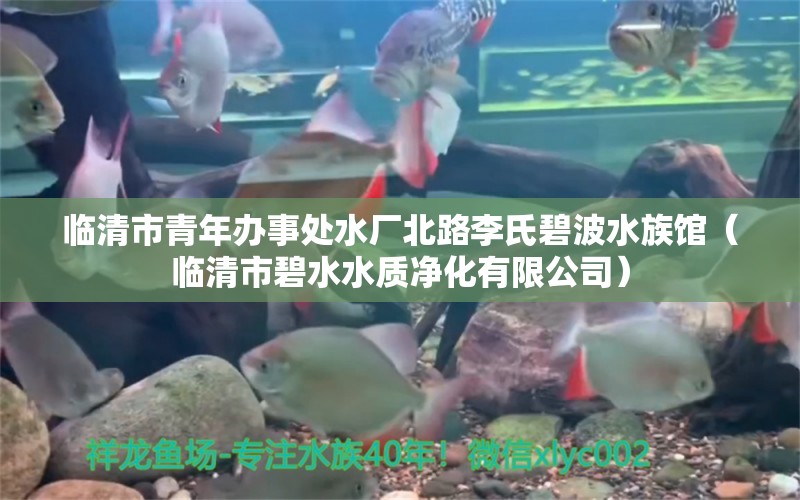 臨清市青年辦事處水廠北路李氏碧波水族館（臨清市碧水水質(zhì)凈化有限公司）