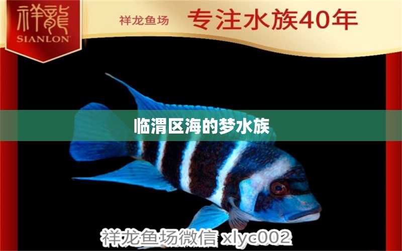 臨渭區(qū)海的夢(mèng)水族 全國(guó)水族館企業(yè)名錄