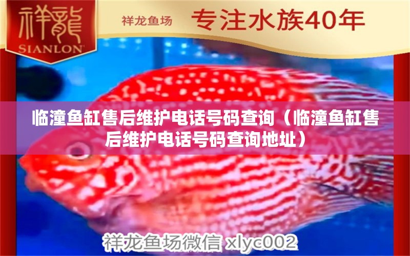 臨潼魚缸售后維護(hù)電話號碼查詢（臨潼魚缸售后維護(hù)電話號碼查詢地址） 其他品牌魚缸