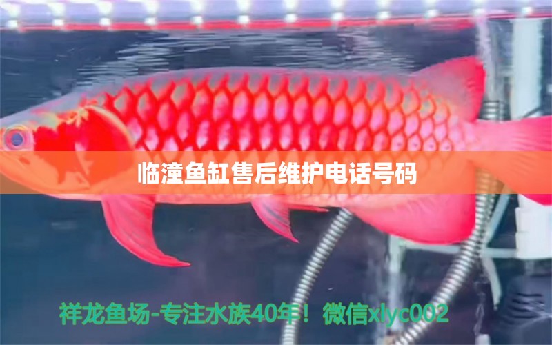 臨潼魚缸售后維護(hù)電話號(hào)碼 其他品牌魚缸