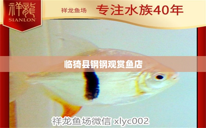 臨猗縣鋼鋼觀賞魚店 全國水族館企業(yè)名錄