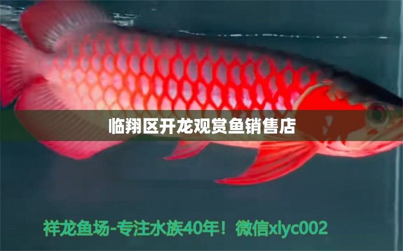 臨翔區(qū)開龍觀賞魚銷售店 全國水族館企業(yè)名錄