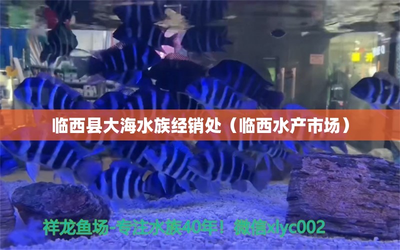 臨西縣大海水族經(jīng)銷處（臨西水產(chǎn)市場(chǎng)）