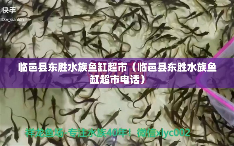 臨邑縣東勝水族魚缸超市（臨邑縣東勝水族魚缸超市電話）