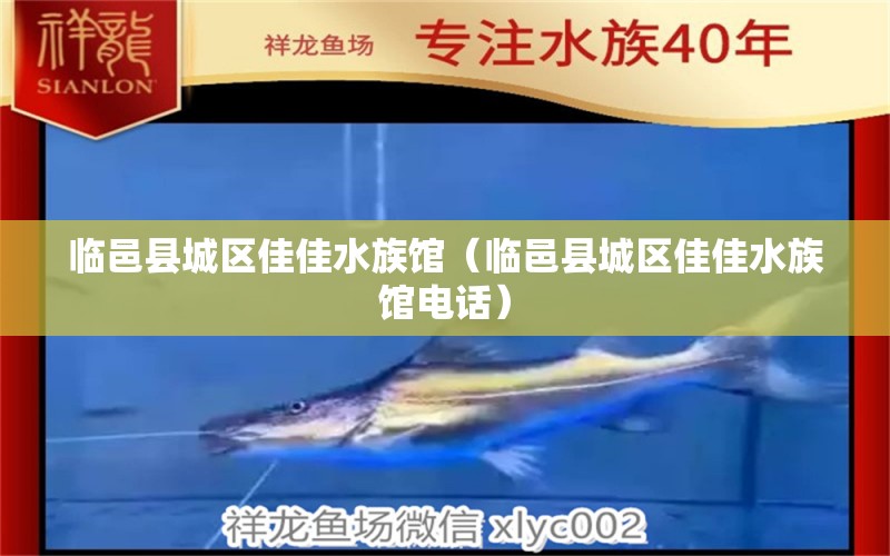 臨邑縣城區(qū)佳佳水族館（臨邑縣城區(qū)佳佳水族館電話） 全國水族館企業(yè)名錄