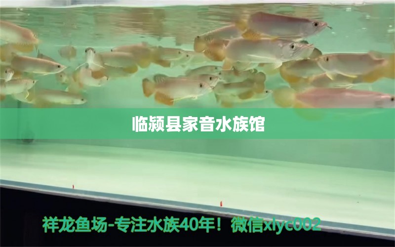 臨潁縣家音水族館 全國水族館企業(yè)名錄