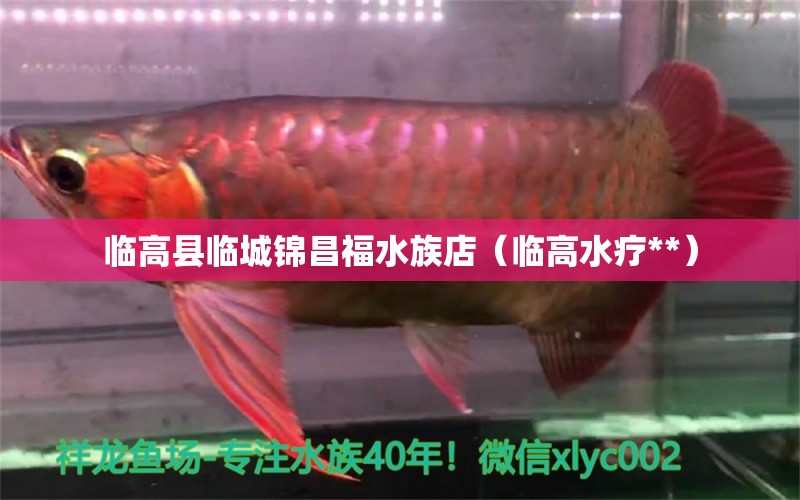 臨高縣臨城錦昌福水族店（臨高水療**）