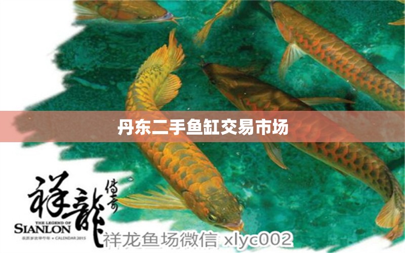 丹東二手魚缸交易市場