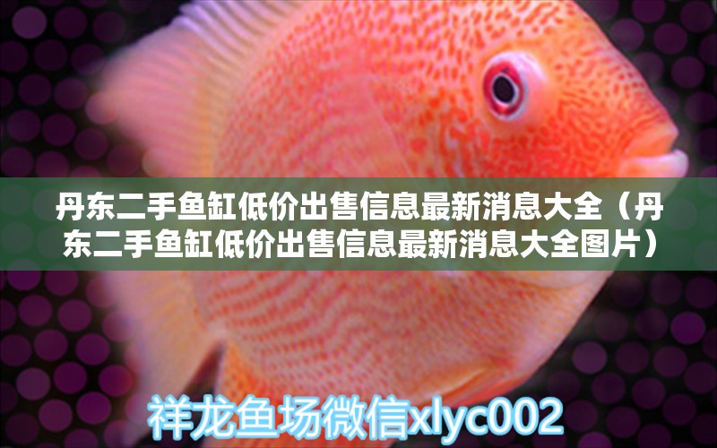 丹東二手魚缸低價出售信息最新消息大全（丹東二手魚缸低價出售信息最新消息大全圖片） 白玉紅龍魚