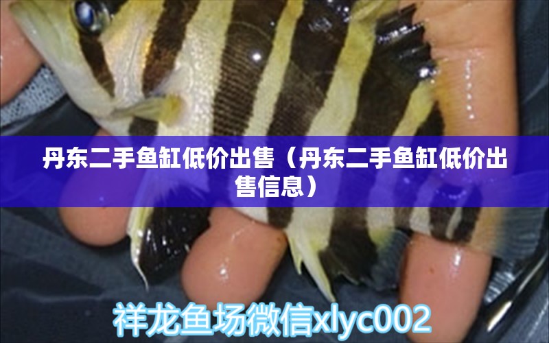 丹東二手魚缸低價出售（丹東二手魚缸低價出售信息）