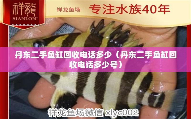 丹東二手魚(yú)缸回收電話多少（丹東二手魚(yú)缸回收電話多少號(hào)）