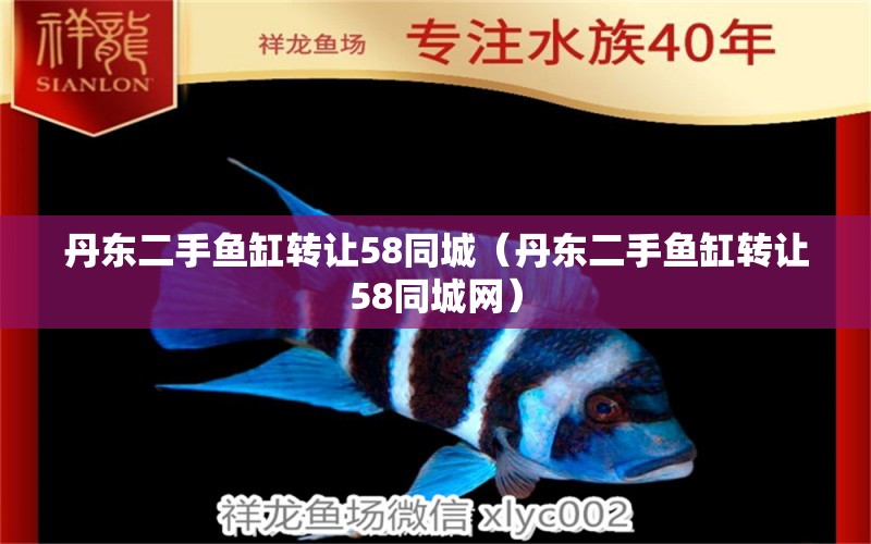 丹東二手魚缸轉(zhuǎn)讓58同城（丹東二手魚缸轉(zhuǎn)讓58同城網(wǎng)）