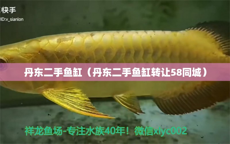 丹東二手魚缸（丹東二手魚缸轉(zhuǎn)讓58同城） 其他品牌魚缸