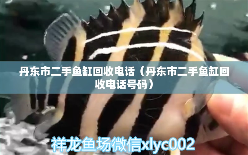 丹東市二手魚(yú)缸回收電話（丹東市二手魚(yú)缸回收電話號(hào)碼）