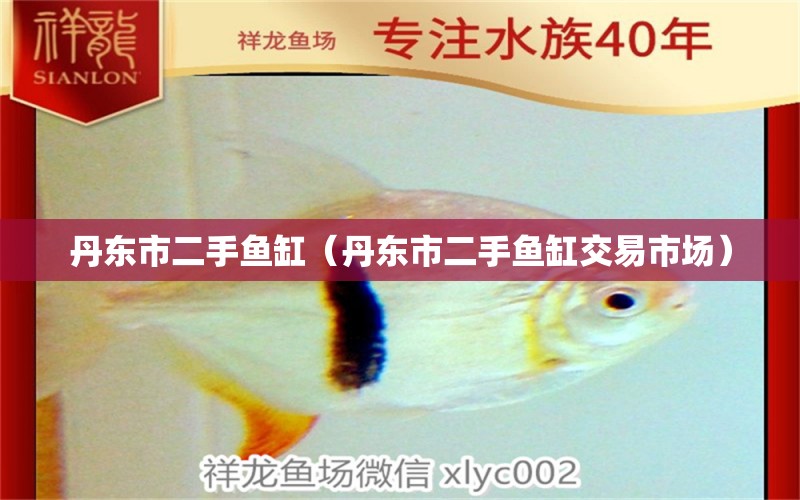 丹東市二手魚缸（丹東市二手魚缸交易市場(chǎng)） 其他品牌魚缸