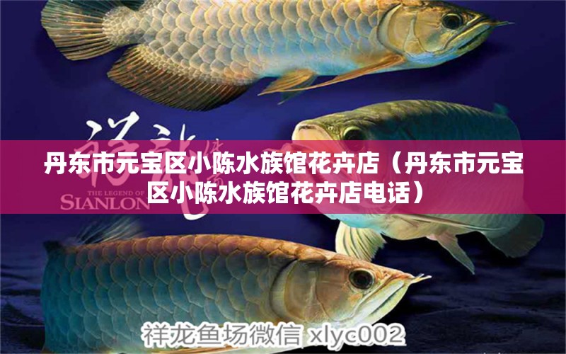 丹東市元寶區(qū)小陳水族館花卉店（丹東市元寶區(qū)小陳水族館花卉店電話）