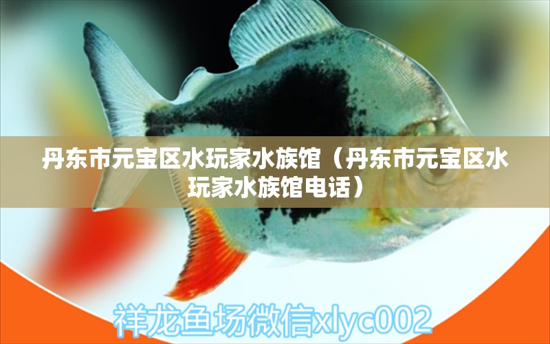 丹東市元寶區(qū)水玩家水族館（丹東市元寶區(qū)水玩家水族館電話） 全國水族館企業(yè)名錄