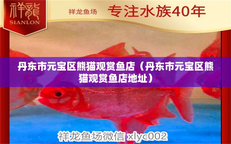 丹東市元寶區(qū)熊貓觀賞魚店（丹東市元寶區(qū)熊貓觀賞魚店地址）