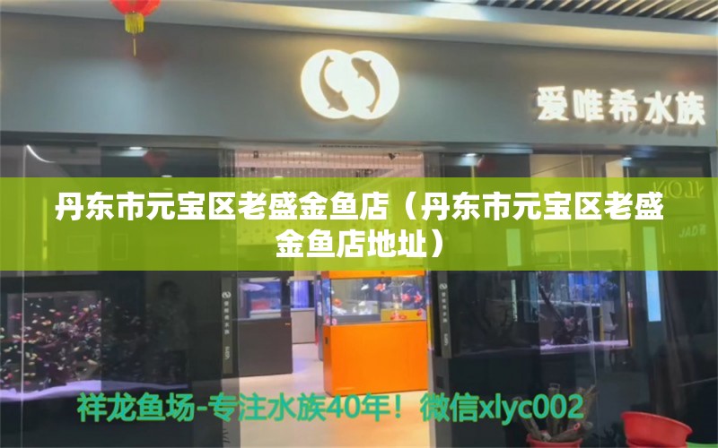 丹東市元寶區(qū)老盛金魚店（丹東市元寶區(qū)老盛金魚店地址）